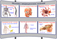 картинка (К-ОБЖ-4) Основы медицинских знаний